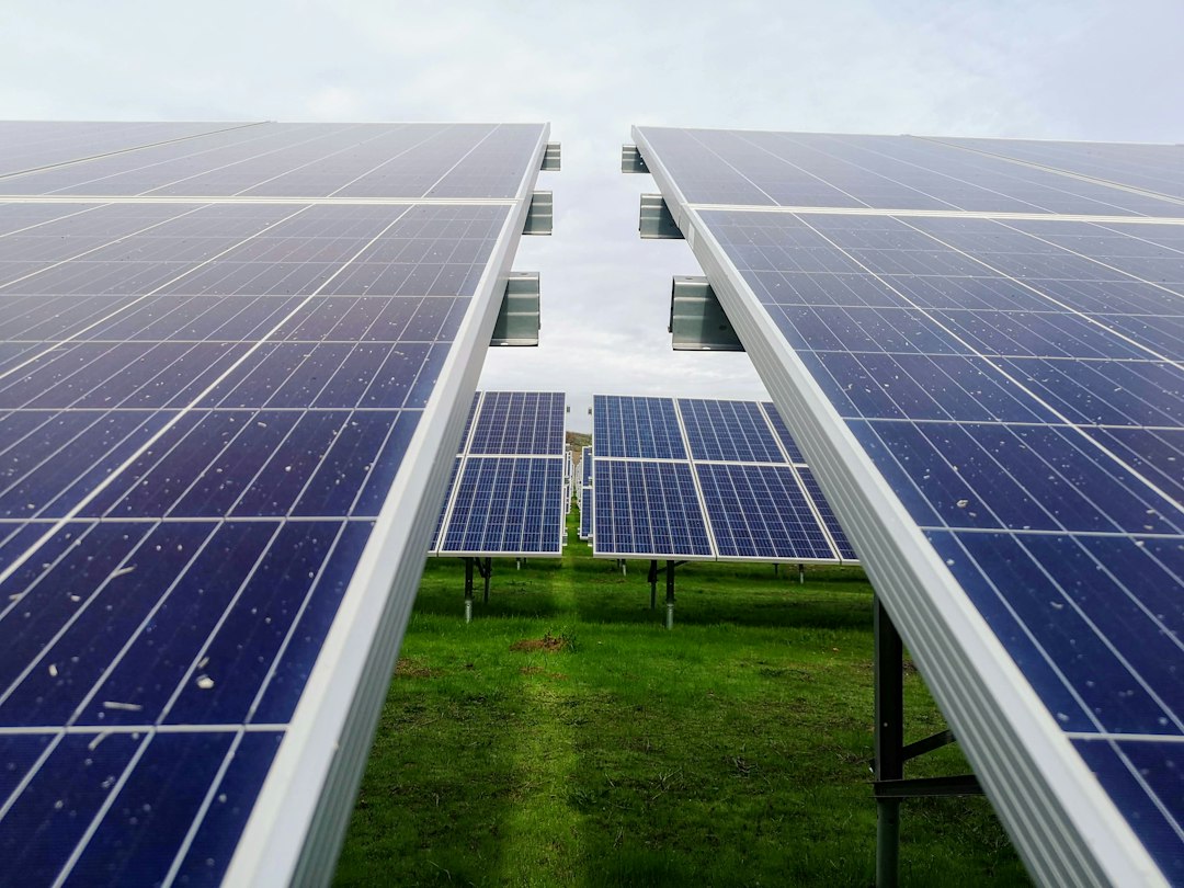 Tecnología TOPCon y HJT en Células Solares: Ventajas y Comparativa Técnica: blue and white solar panel lot