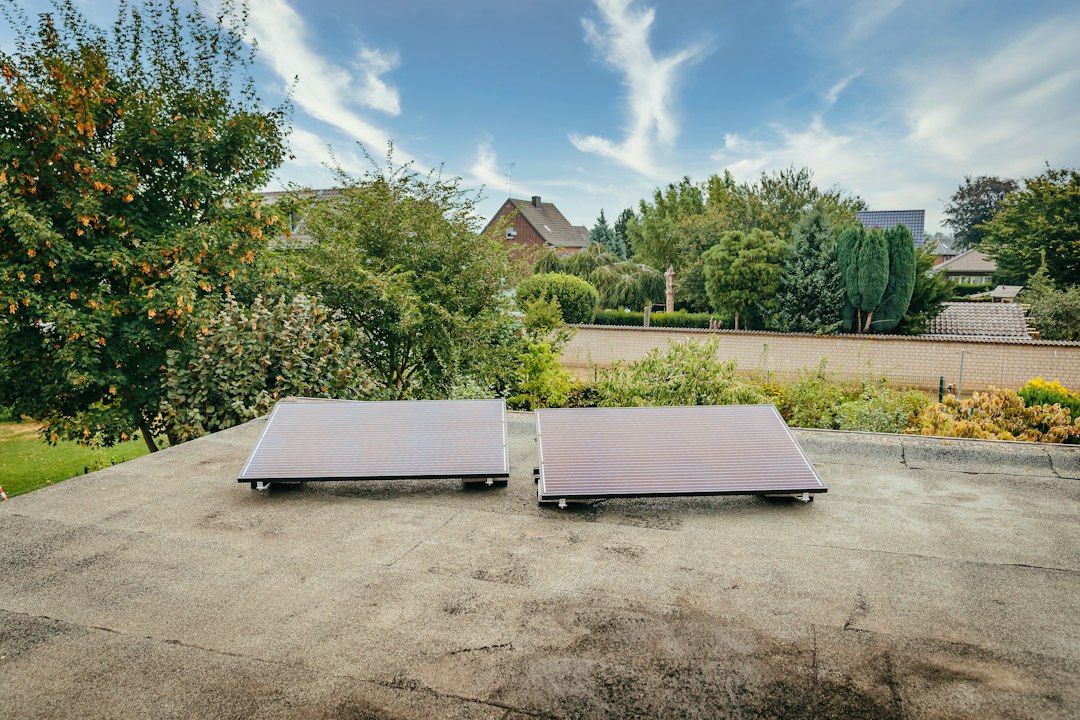 Cómo Adaptar los Hábitos de Consumo Doméstico a las Horas de Mayor Producción: Two solar panels on a rooftop with trees